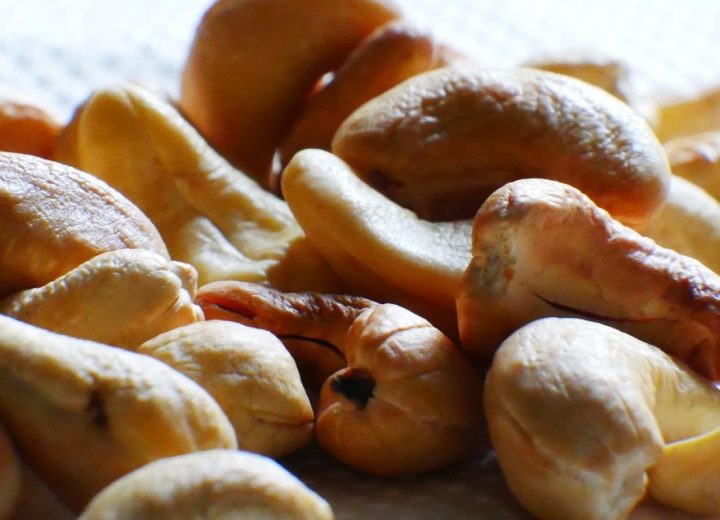 Cashew