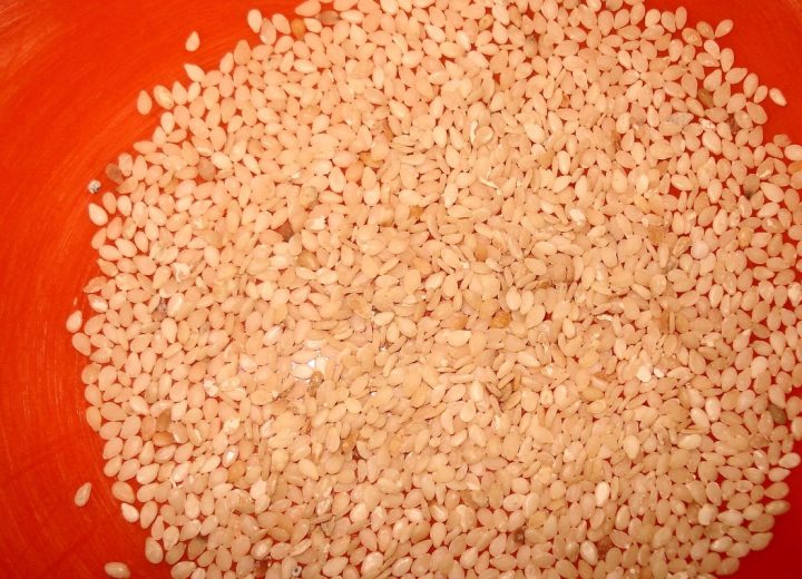 Oil Seeds