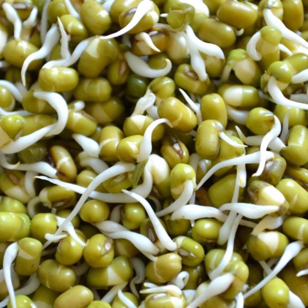 Green Moong