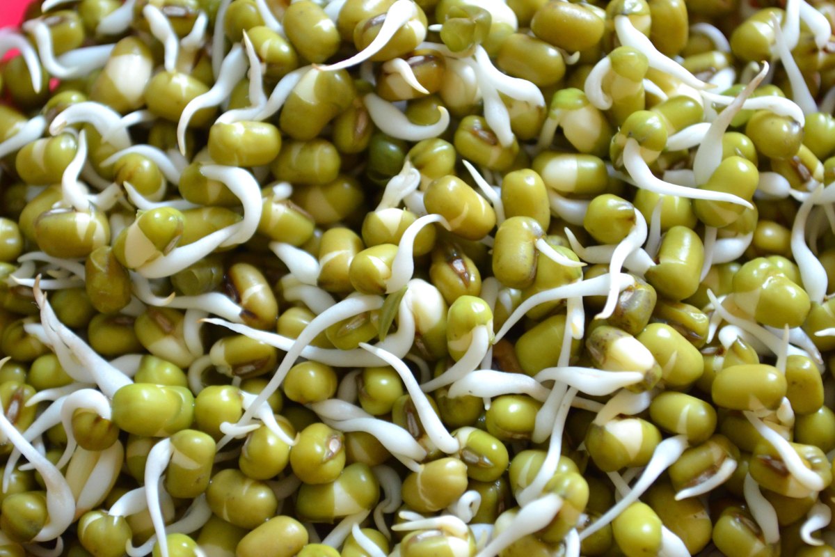 Green Moong