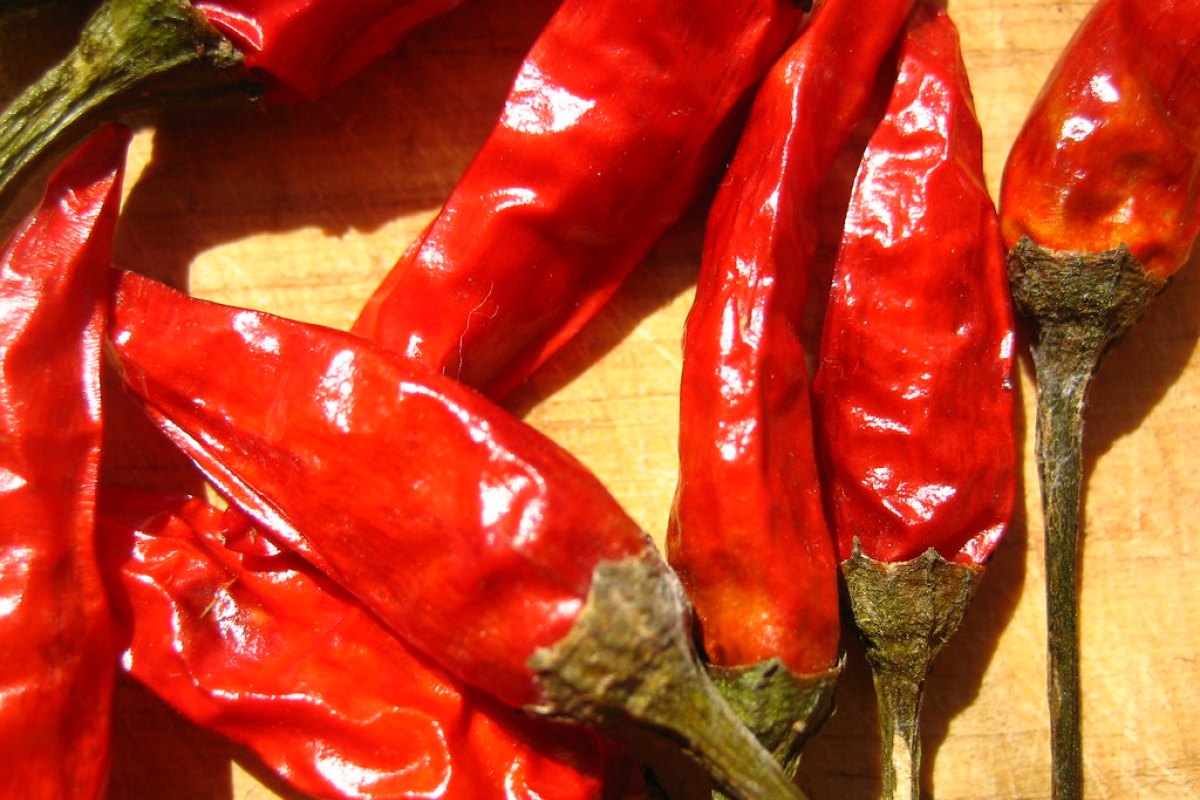 Red Chilli